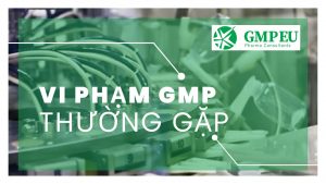 Một số quy định liên quan đến EU-GMP tại Việt Nam